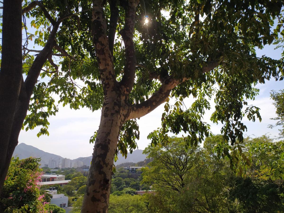 Jardin Etnobotanico Villa Ludovica Santa Marta  Exteriér fotografie